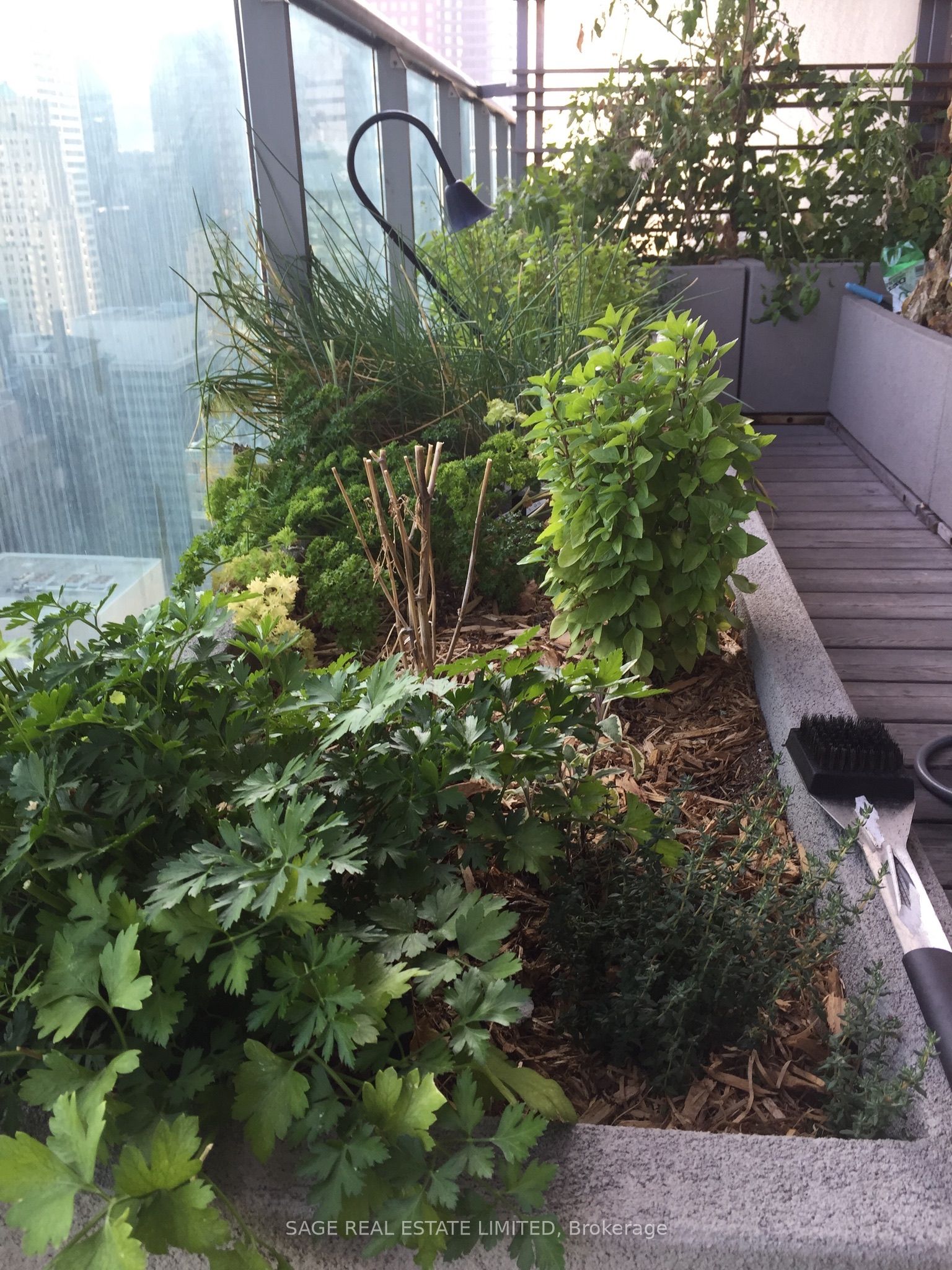 33 Lombard Street 4004, Toronto, ON M5C 3H8