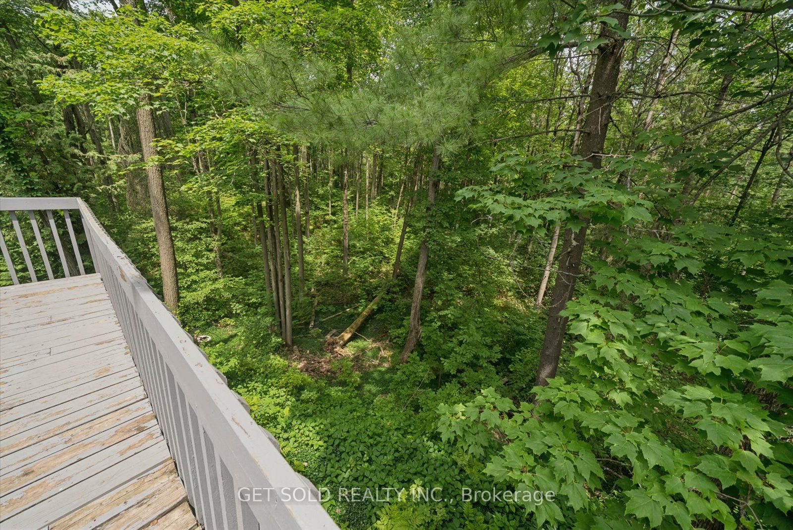 80 White Pine Trail, Richmond Hill, ON L4E 3L8