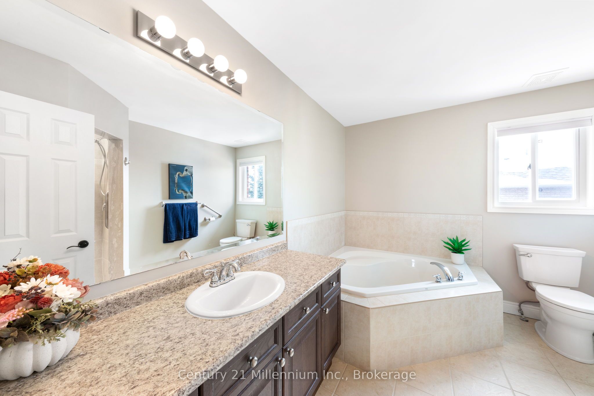 9 Hill Street, Collingwood, ON L9Y 0A7