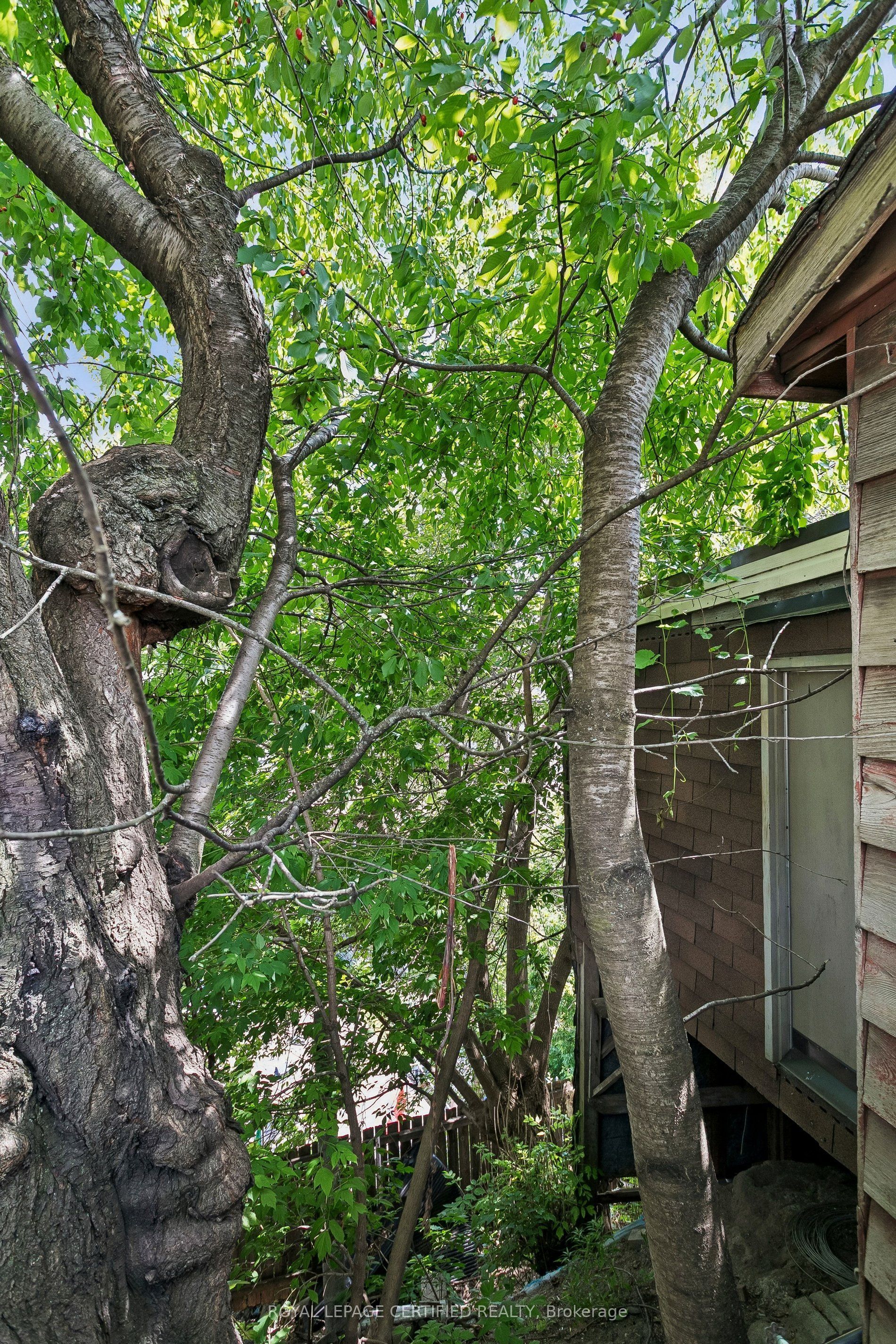 33 Donald Avenue, Toronto, ON M6M 1J9