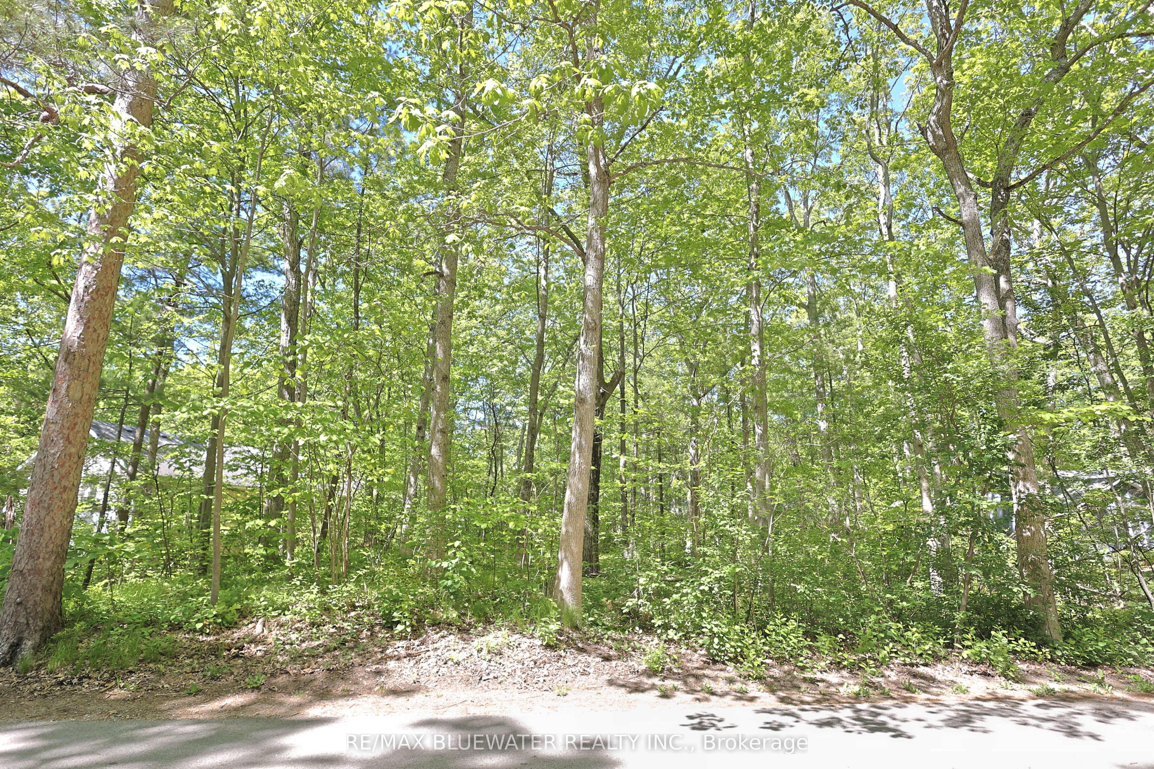 10296 Grand Oaks Drive, Lambton Shores, ON N0M 1T0