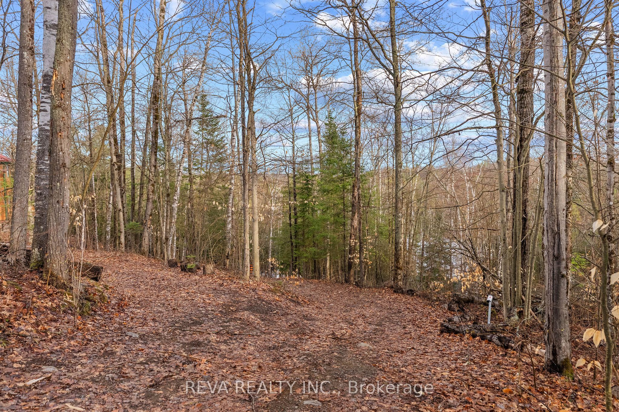 115 West Mullet Lake Drive, Faraday, ON K0L 1C0