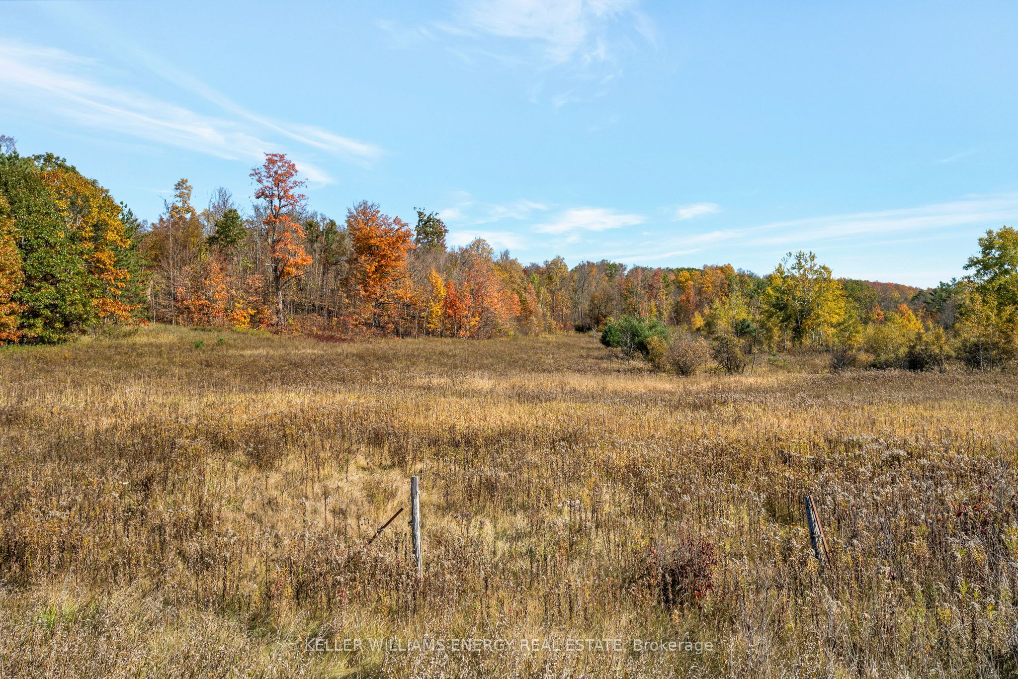 14794 Hwy 62 Highway, Madoc, ON K0K 2K0