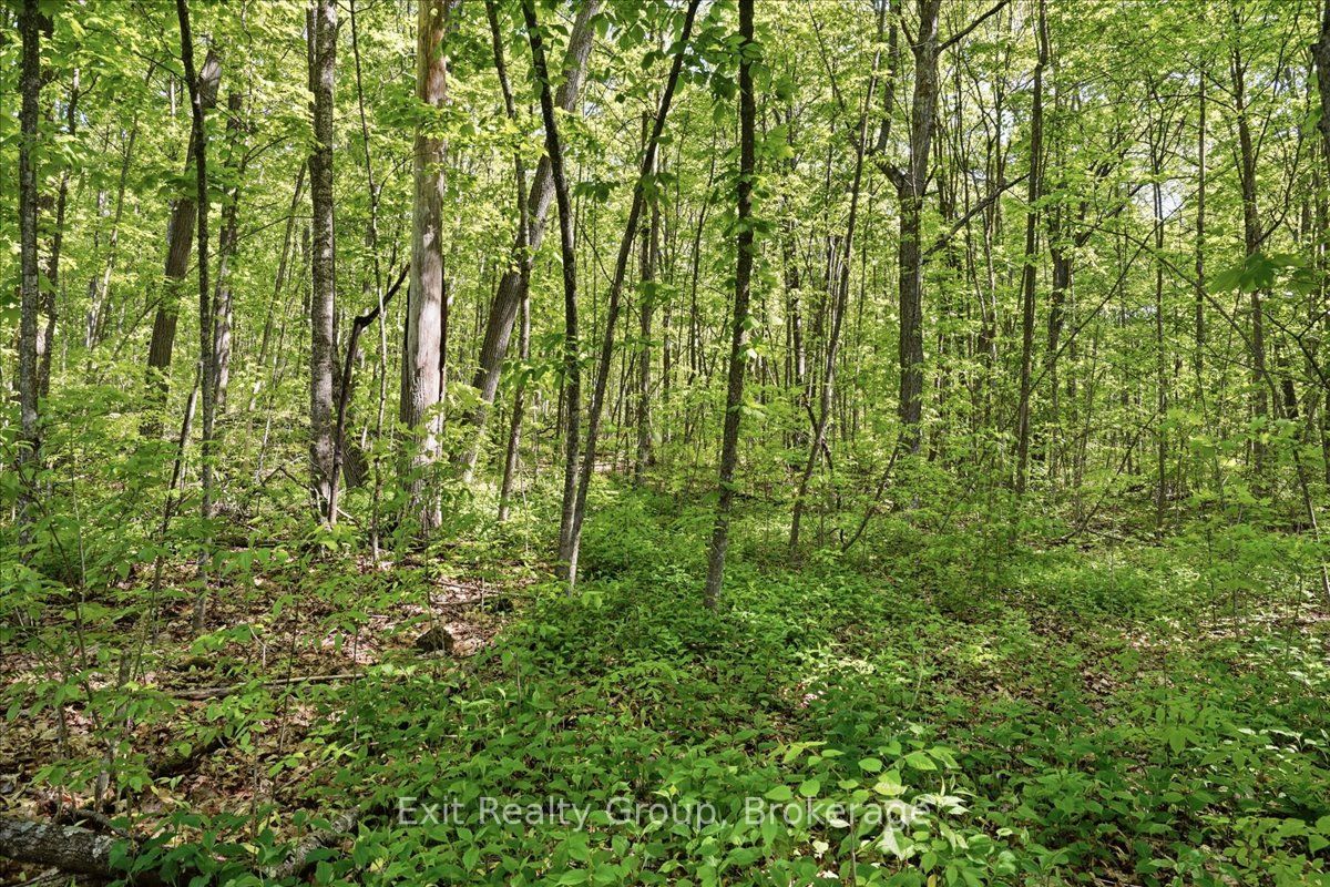 75 Spry Road, Stirling-Rawdon, ON K0K 3E0