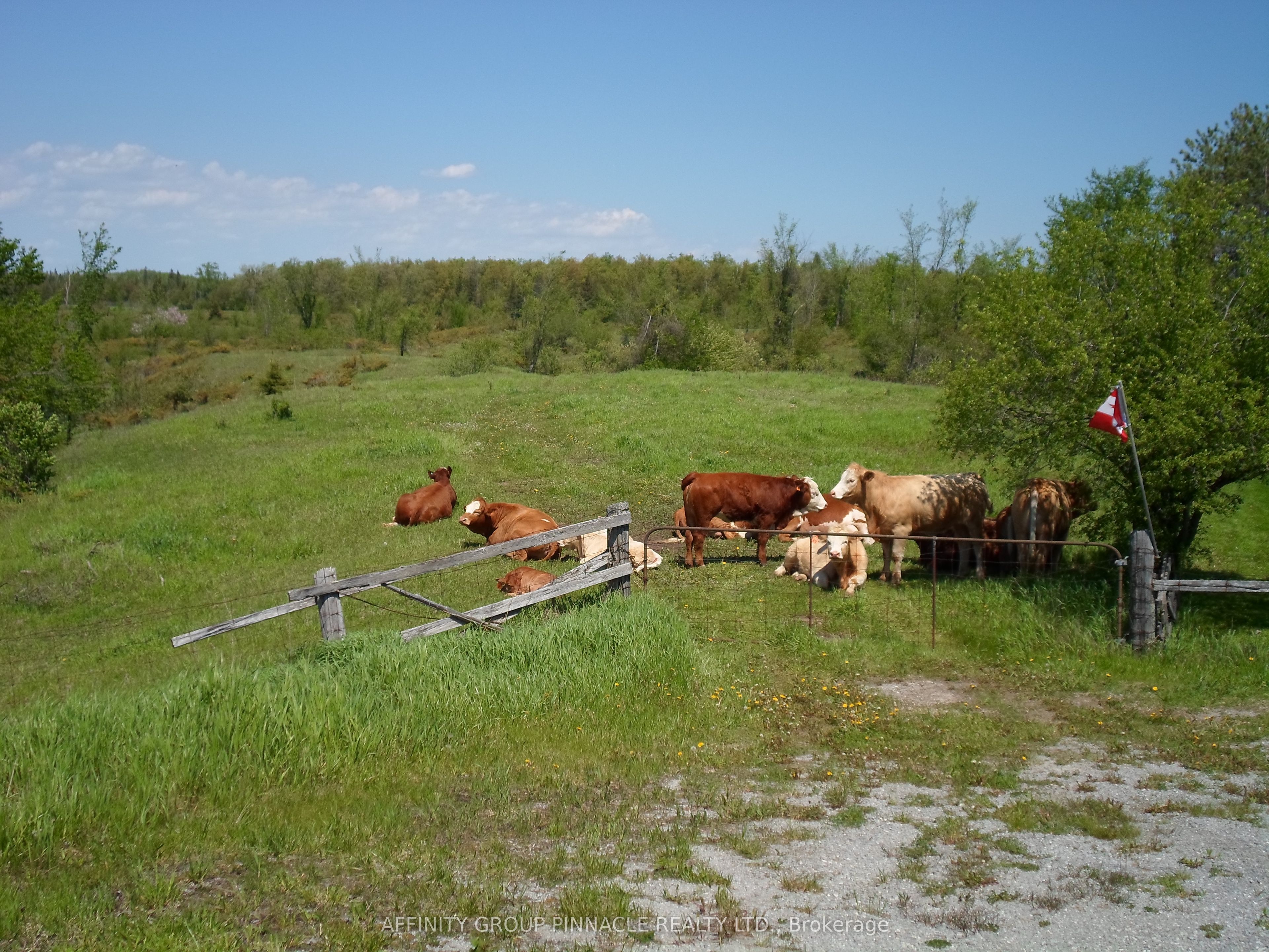 1178 County Rd 121 Road, Kawartha Lakes, ON K0M 1N0