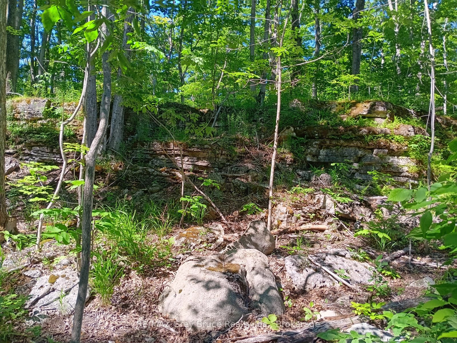 150 Clarkes Road E R96870, Northern Bruce Peninsula, ON N0H 1W0