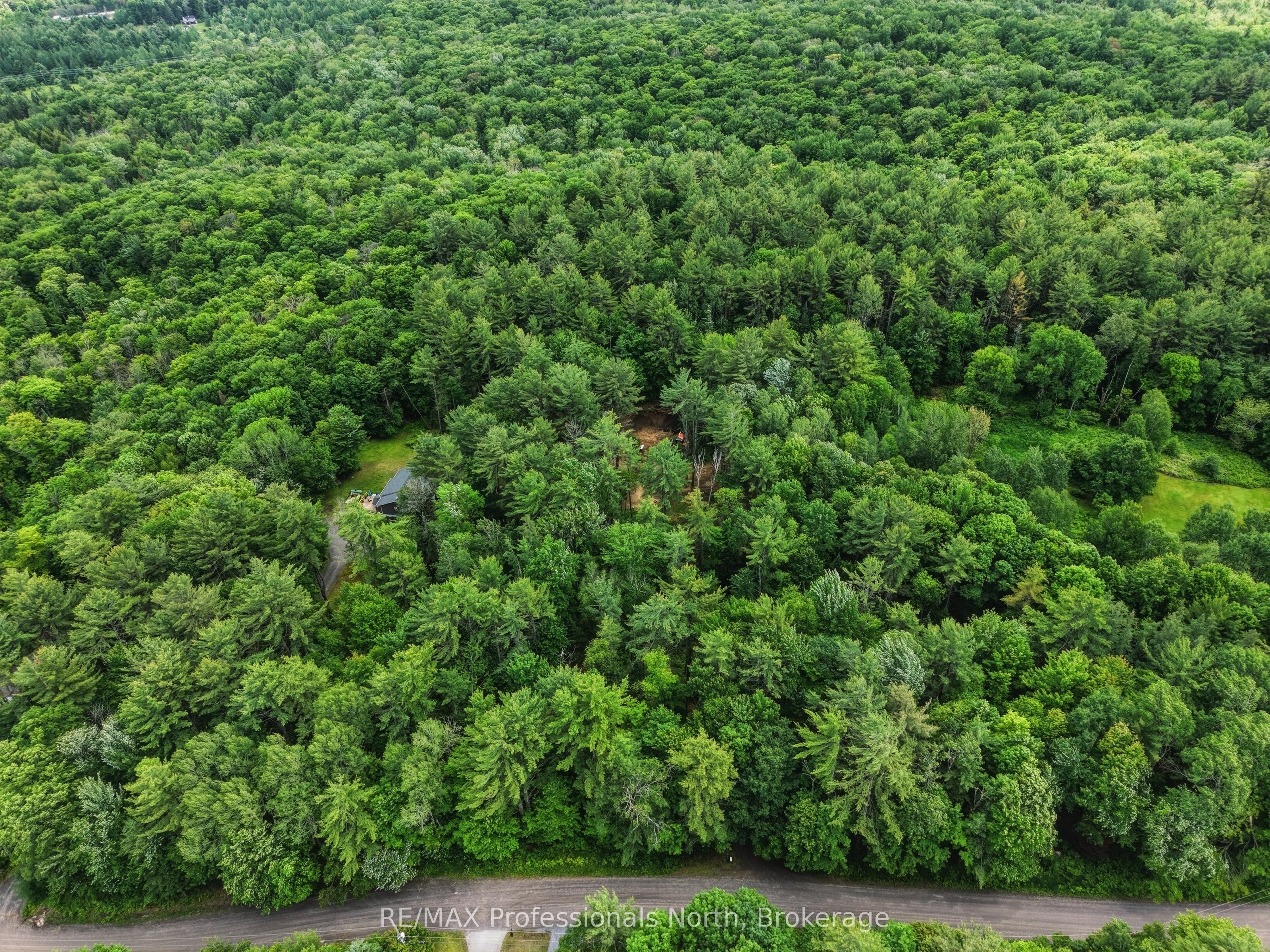 81 WATSON Lane, Huntsville, ON P0B 1M0